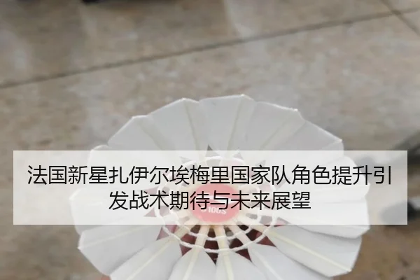 法国新星扎伊尔埃梅里国家队角色提升引发战术期待与未来展望（kaiyun）